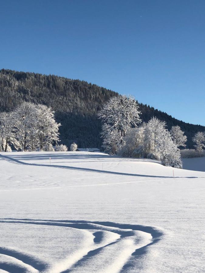 Lindenhof Inzell - Fewo Mit Chiemgaukarte Bagian luar foto